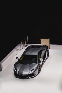 Premium Elegance.