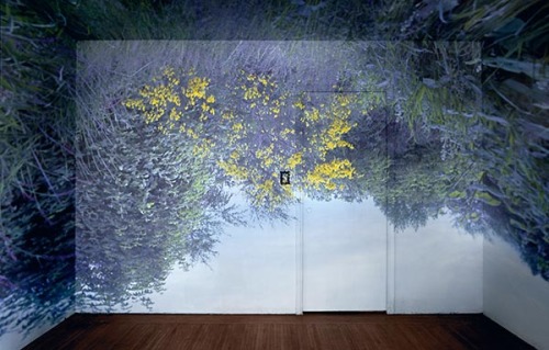 foxmouth:  Wild Flowers in Room, 2012Tree in Room, 2012   by James Nizam  