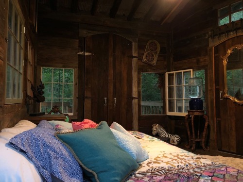 Oh To Live In A Treehouse In The Woods 🌲🍂