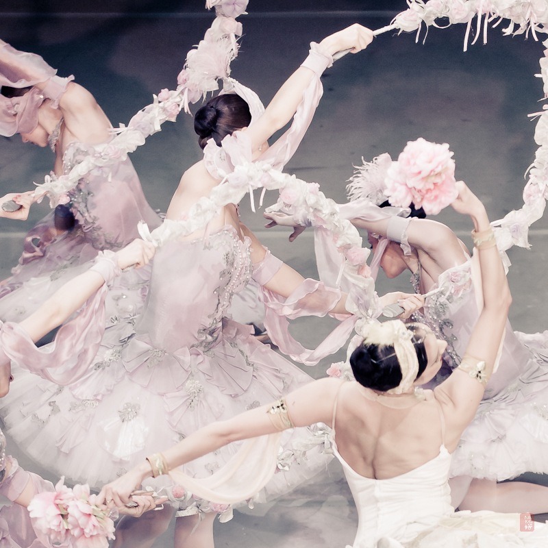 marthajefferson:lasylphidedubolchoi:Mikhailovsky’s Le CorsairePhotos by Nikolai