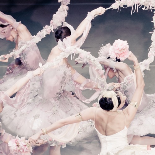 marthajefferson:lasylphidedubolchoi:Mikhailovsky’s Le CorsairePhotos by Nikolai Krusser