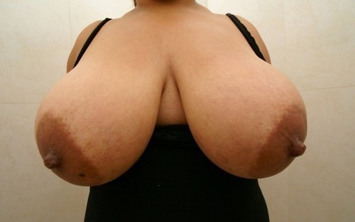 bigtittielover:  † вɪɢтɪтɪεʟסvεʀ † 