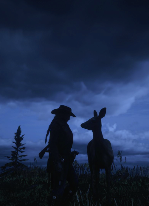 RDO shenanigans with Cassidy Moses and pretty scenery#SaveRedDeadOnline