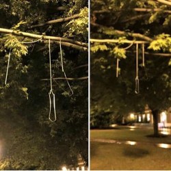 nebraskaprostitute:  lightskinlivinglavish:  hung in response to yesterday’s #BLM protest of Katie Pavlich….really didnt expect this from my university…really didnt   This is disgusting and I am embarrassed that this came from my alma mater. I’m