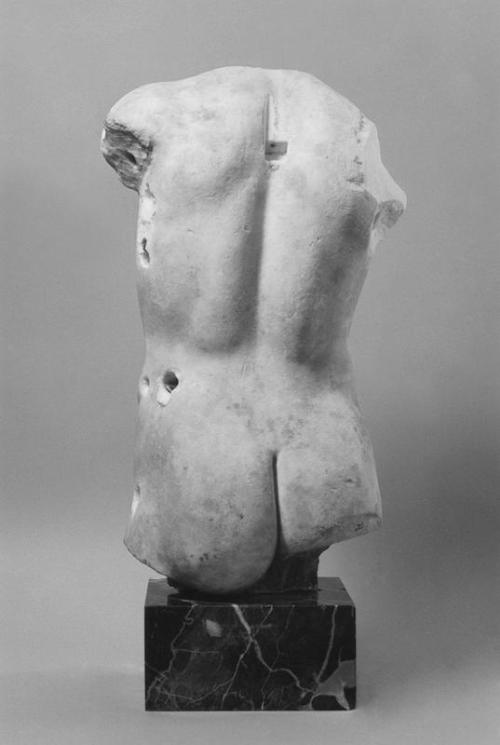 hismarmorealcalm:Male Torso  399-300 B.C. Marble  Greek