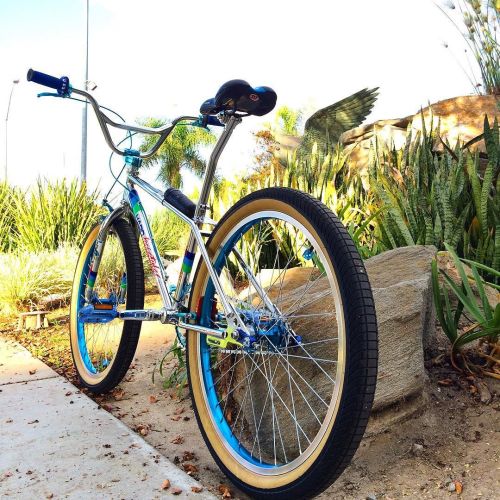 thebicycletree: Sunday funday…#rideeveryday #sundayfunday #bmxride #harobmx #haromaster #24bmx #bmx