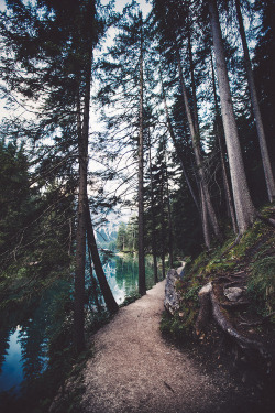 posteriaen:  serene op We Heart It 