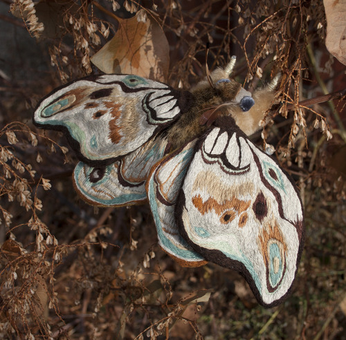 jbbartram:  As I think I mentioned here at some point, I’m taking part in the Graven Feather H