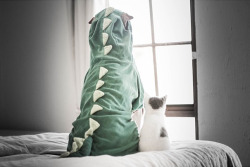 boredpanda:    World’s Most Photogenic Shar Pei And His Cat Are The Best Friends Ever   