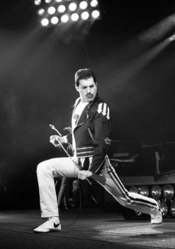 dama-do-lago:  Coolness / Freddie. on We Heart It - http://weheartit.com/entry/46164554/via/yasmindias