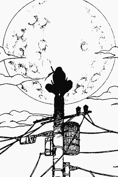 Manga Blog 
