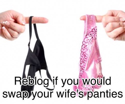 pantyguy78: deeken-kaylove: gussetts: All day long I’ll swap my wife’s satin panties wit