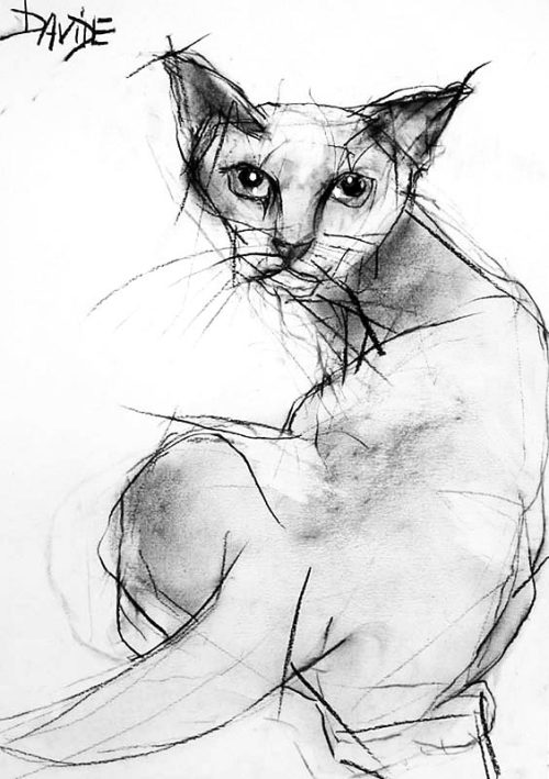 gatosonlyspell: De Valerie Davide…..Serie Cats….