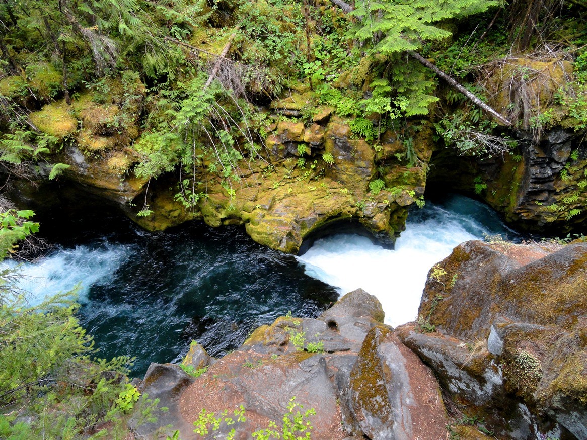 earthen-empress:  wyeasttokaala: Toketee Falls Trail Along Umpqua Highway (OR-138)