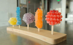 archiemcphee:  Generally speaking, it’s not a good idea to try licking a cactus or any bacteria-coated surface. That is, unless they’re actually tasty popsicles. This colorful series of Dangerous Popsicles, frozen treats shaped like cacti and viruses,