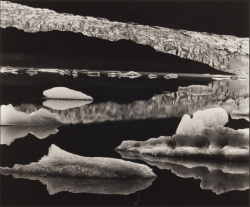 gacougnol:Brett WestonMendenhall Glacier 1973