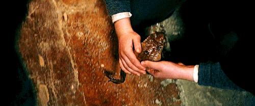 potterwatch:Trevor was Neville Longbottom’s pet toad, whom he frequently lost during his first year 