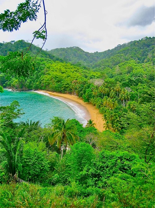tropicaldestinations:  Englishman’s Bay in Tobago (by Jason Caldwell) - Tropical destinations