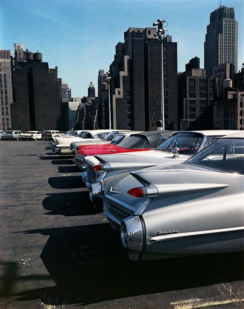 nevver:The 2Oth Century, Evelyn Hofer