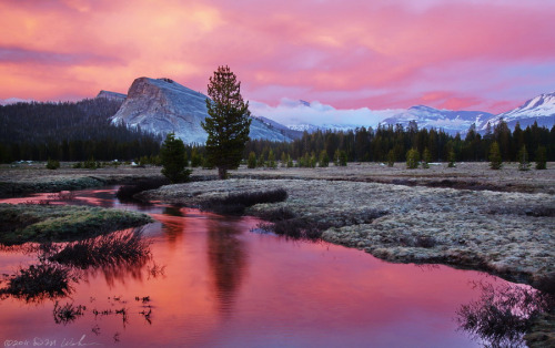 djferreira224:Lembert Dome, Tuolumne Meadows, Yosemite NP by Dave Weber