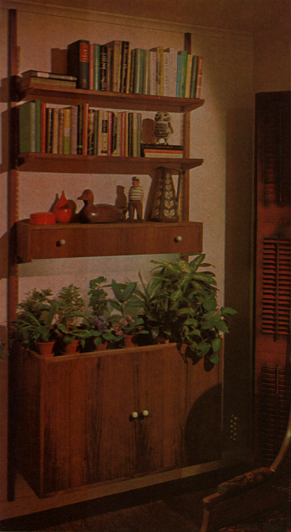 bilbao-song: Better Homes and Gardens’ House Plants book, 1971.