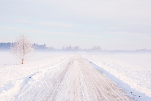lauraepritchett:a frosty morning on the road
