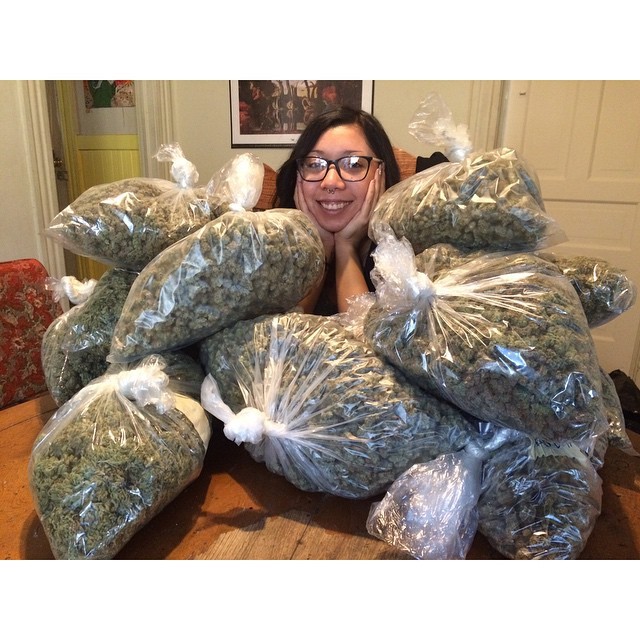 WeedPornDaily Tumblr