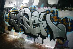 rtrcrew:  2Flash Stray 