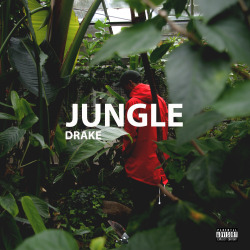 houseofdawn:  Jungle - Drake // houseofdawn