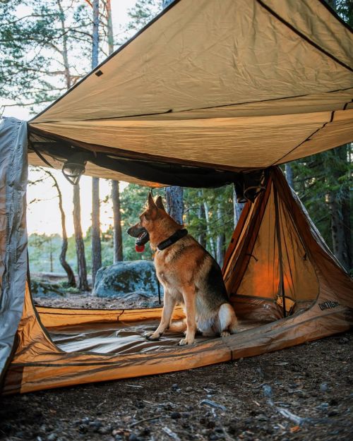 "Friday I’m in love!  And it’s time to go “glamping” with our fur pals!