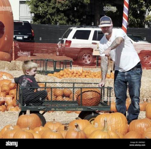 More Serious Pumpkin Patching