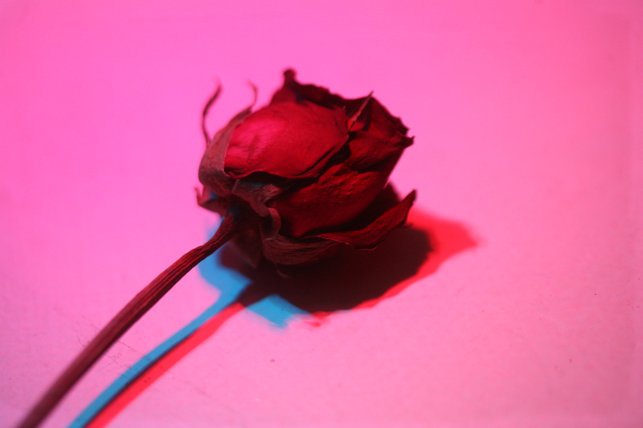 three dimensional effects (2015)as apart of my bracketing assignment for class I