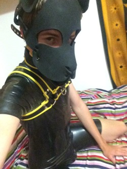 tofskipup:  Sorry for not updating recently, now that it’s summer I can post more! wruff! 🐶 oh and I got a new suit!  Tofski X