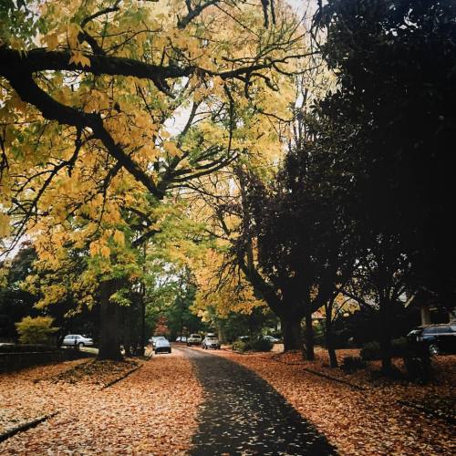 asuperiorlife:  These Portland streets.  (at Laurelhurst Park) 