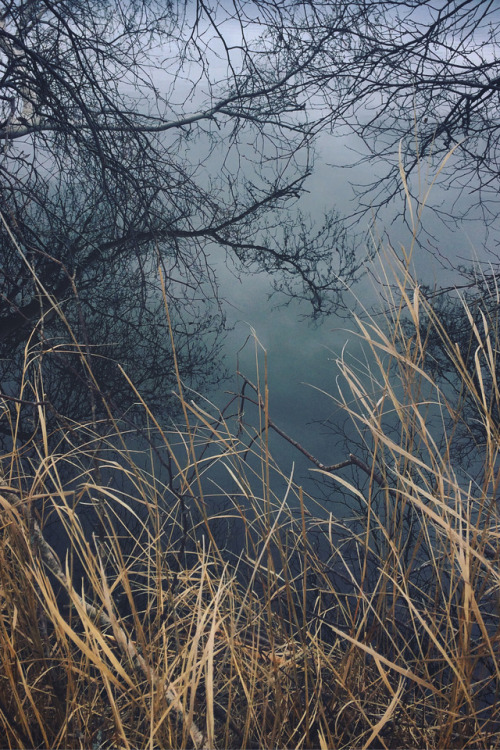 Moody Sunday by ashleyDcrouseFacebook | tumblr | Shop | deviantART