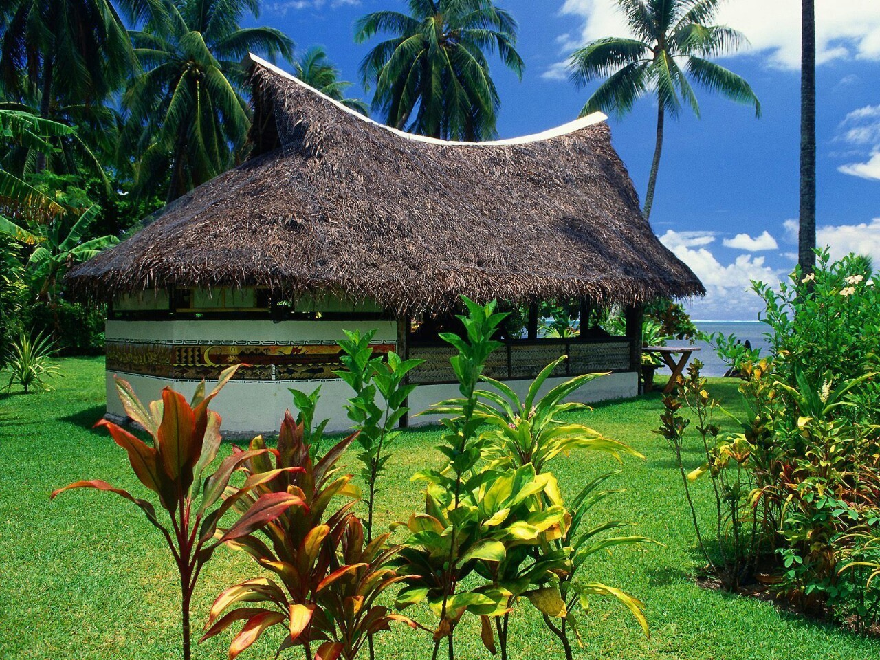 Tropical Blog