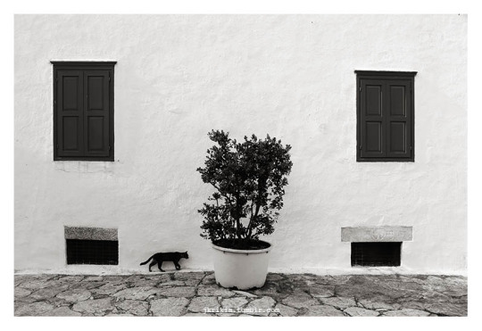 amorgos © 2020 Yiannis Krikis