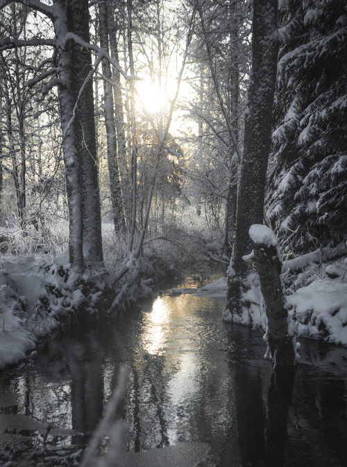 winter river by magnus dovlindInstagram