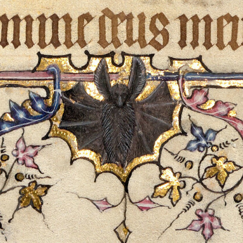 discardingimages: long-eared bat Psalter, England c. 1360-1400 Bodleian Library, Exeter College MS 4