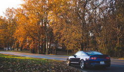 ford-mustang-generation:  Wheels are for sale by turkadurka on Flickr.