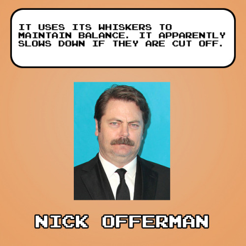Celebrity Pokedex Entries