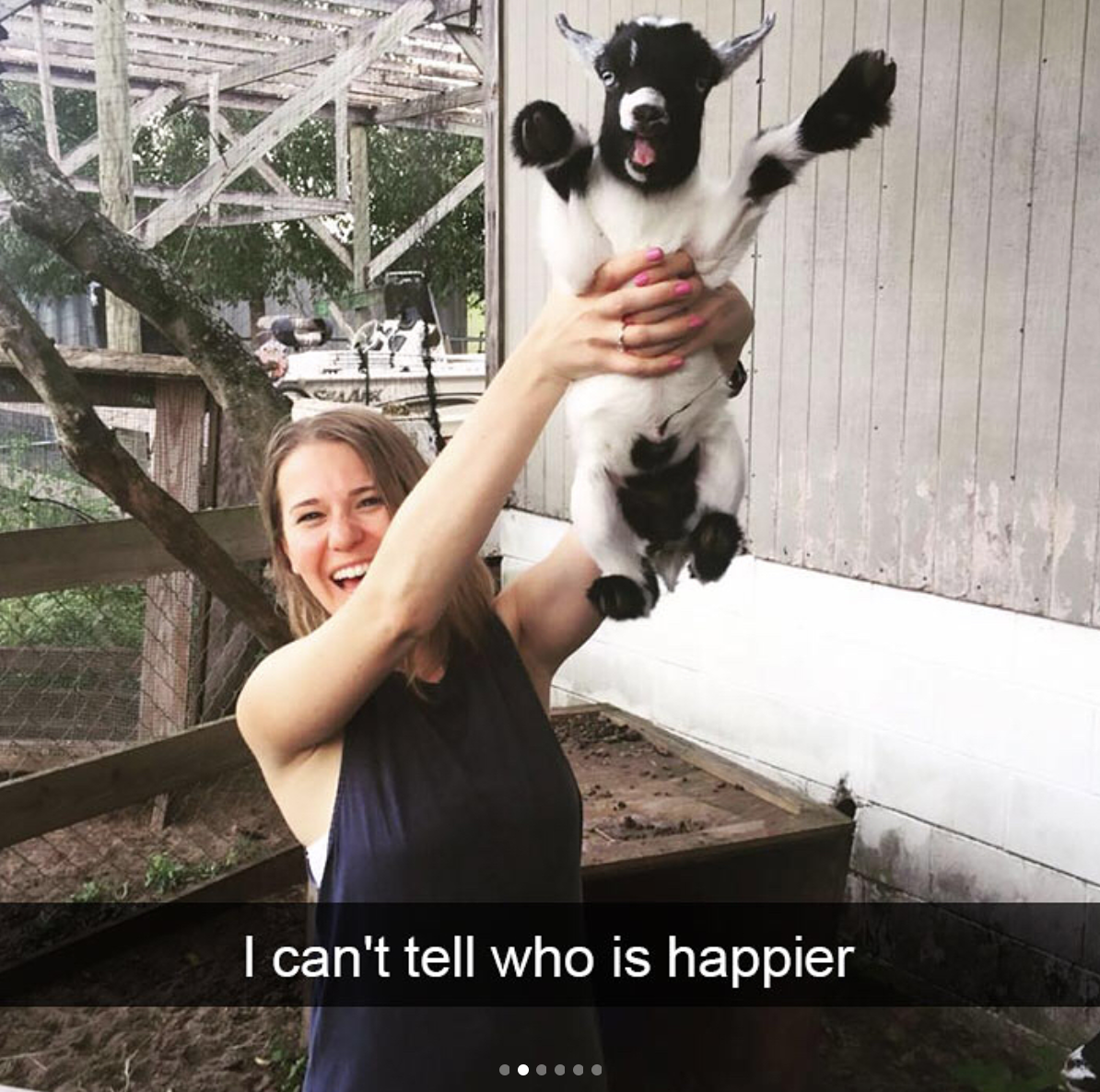 babyanimalgifs:  Animal snaps