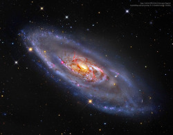 spinningblueball:  M106 - NGC 4258