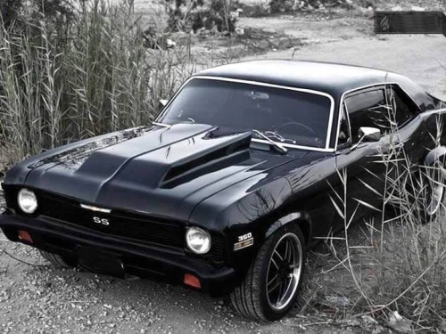 Hotrodjunkie