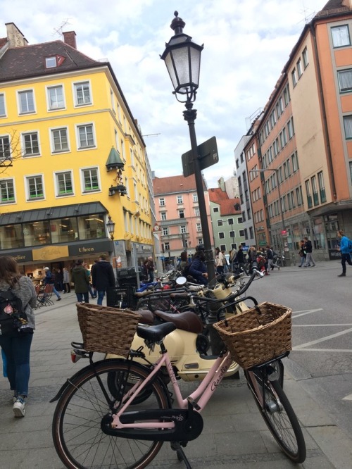 frenchtwig:lots of rosé and tulips in Munich :,)))