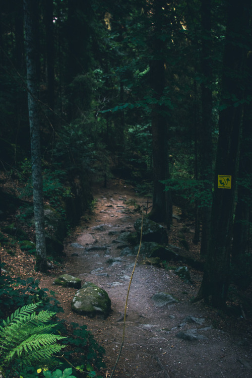 Triberg waterfall, Schwarzwald, Germany.