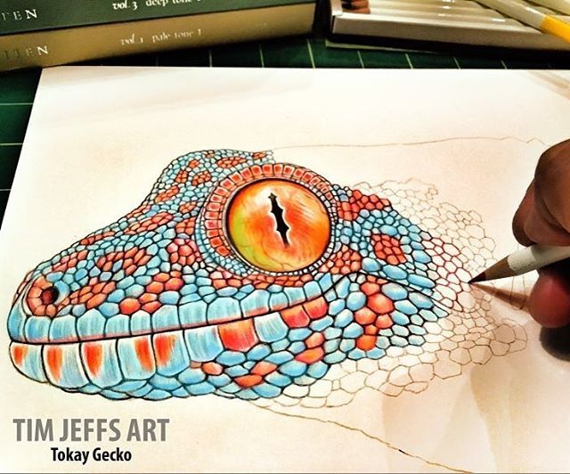 Tim Jeffs Art — More Gecko! Tokay Gecko work in progress