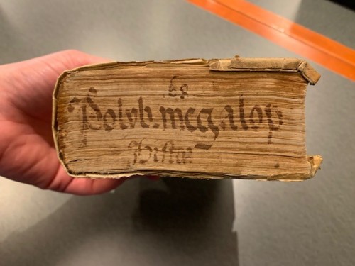 Bottoms UpGreat evidence that this 16th century book of ancient history was not always stored spine-