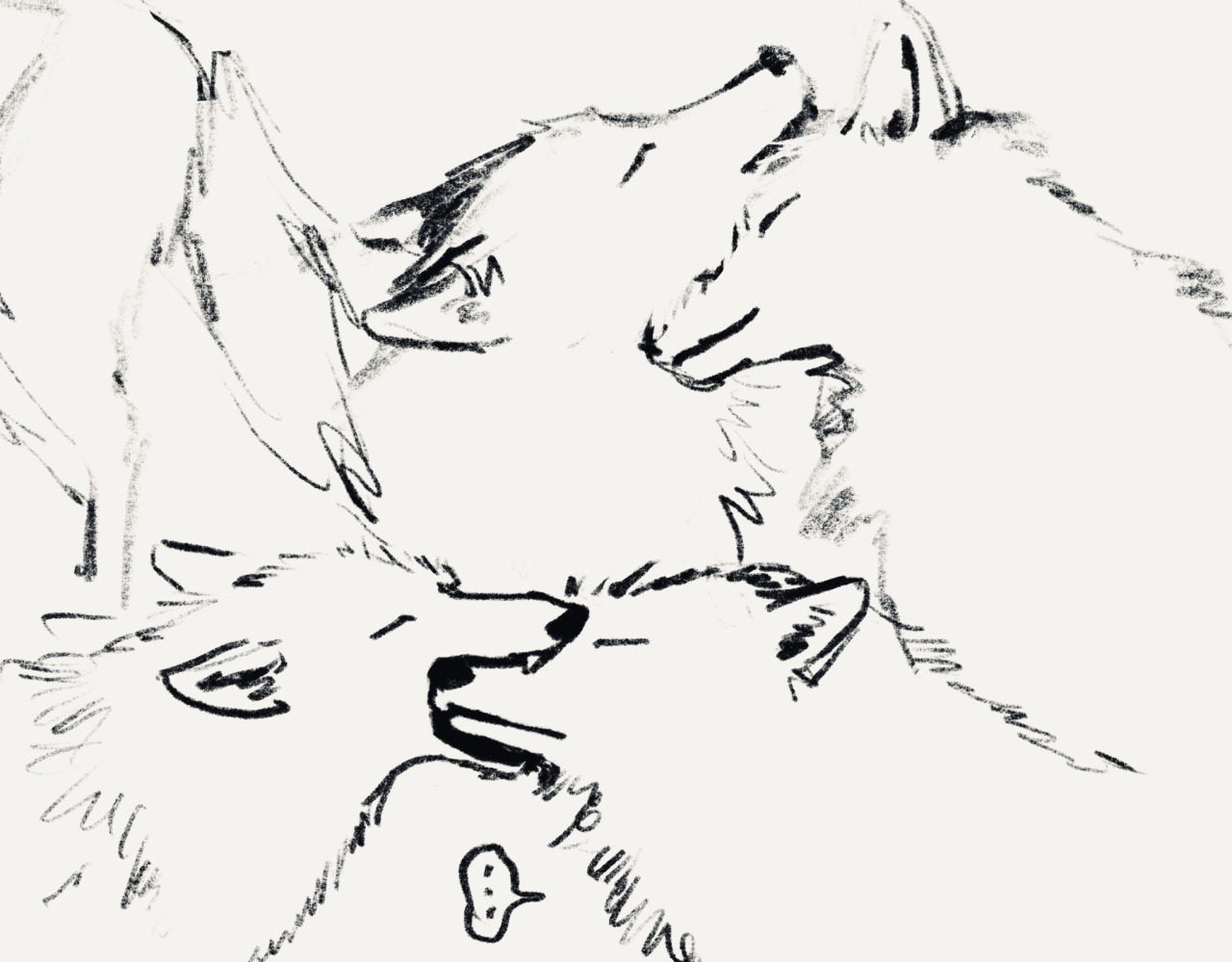  skunkies On Tumblr