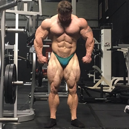 Porn photo Flex Lewis - 12 weeks out to Olympia 2017.